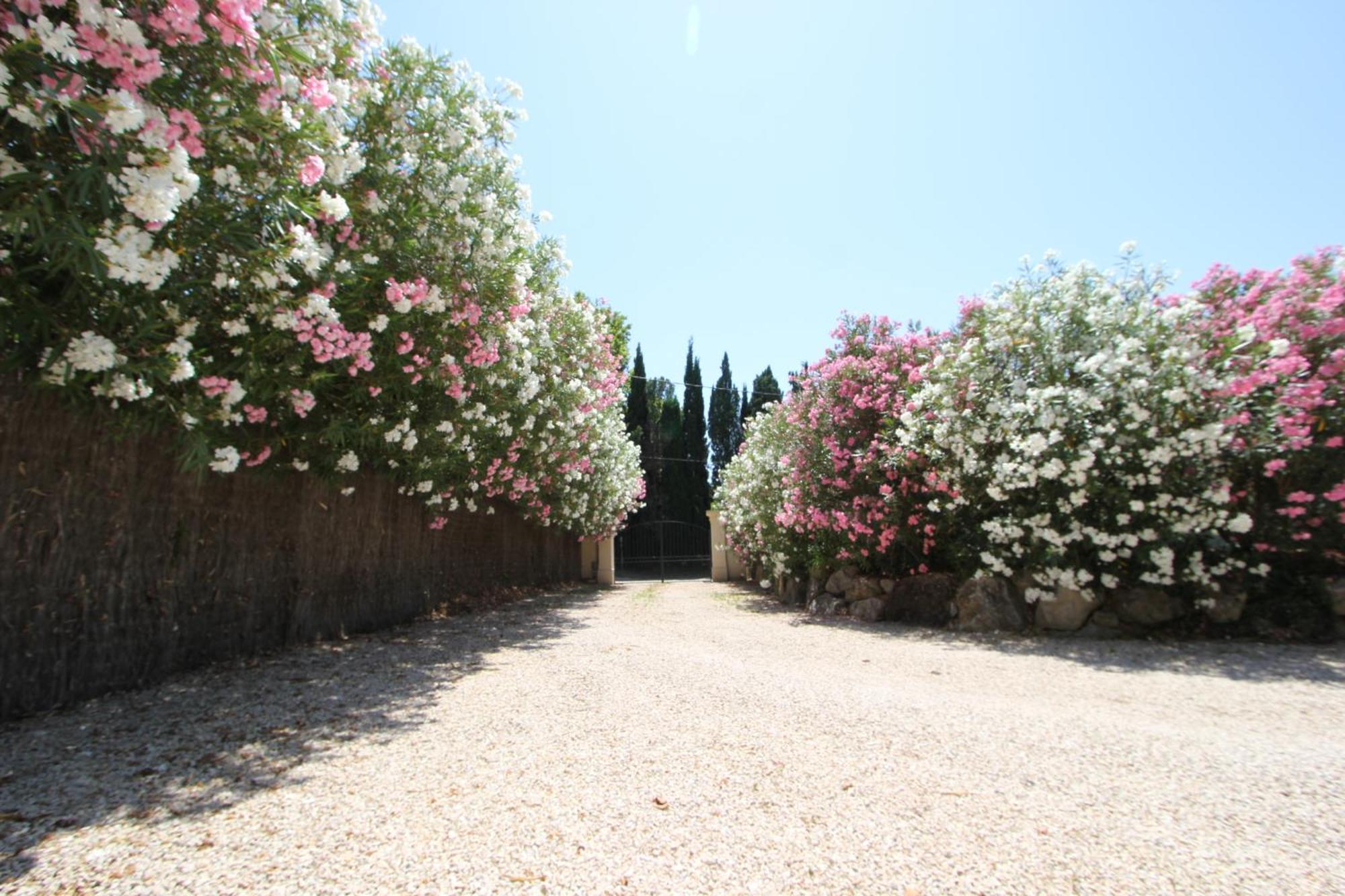 Mas Paloma Bed & Breakfast Rognonas Exterior foto