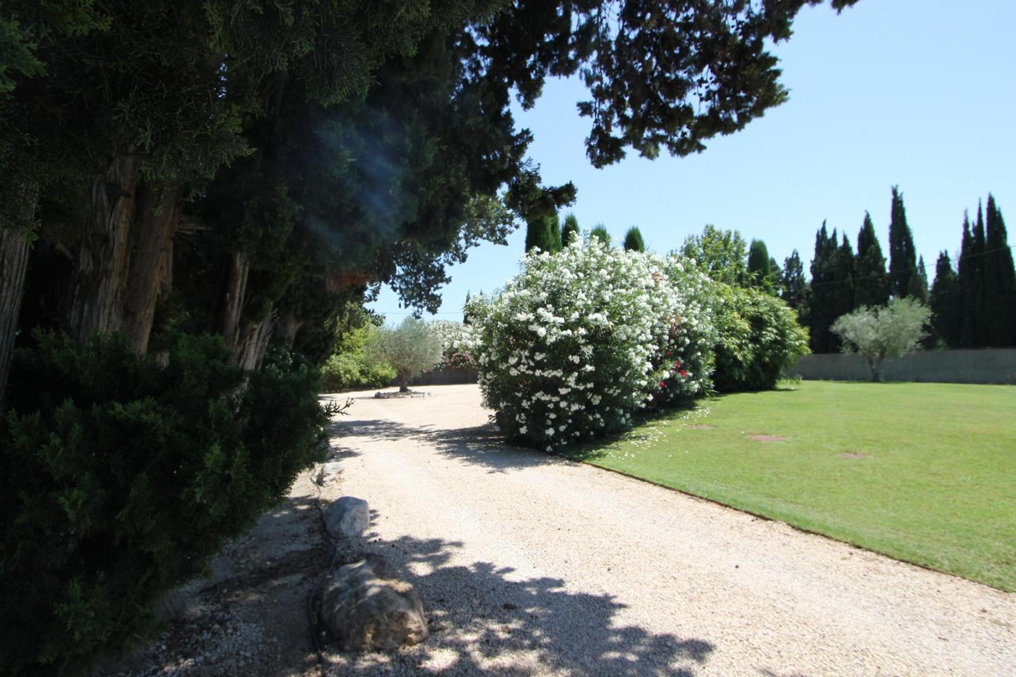 Mas Paloma Bed & Breakfast Rognonas Exterior foto