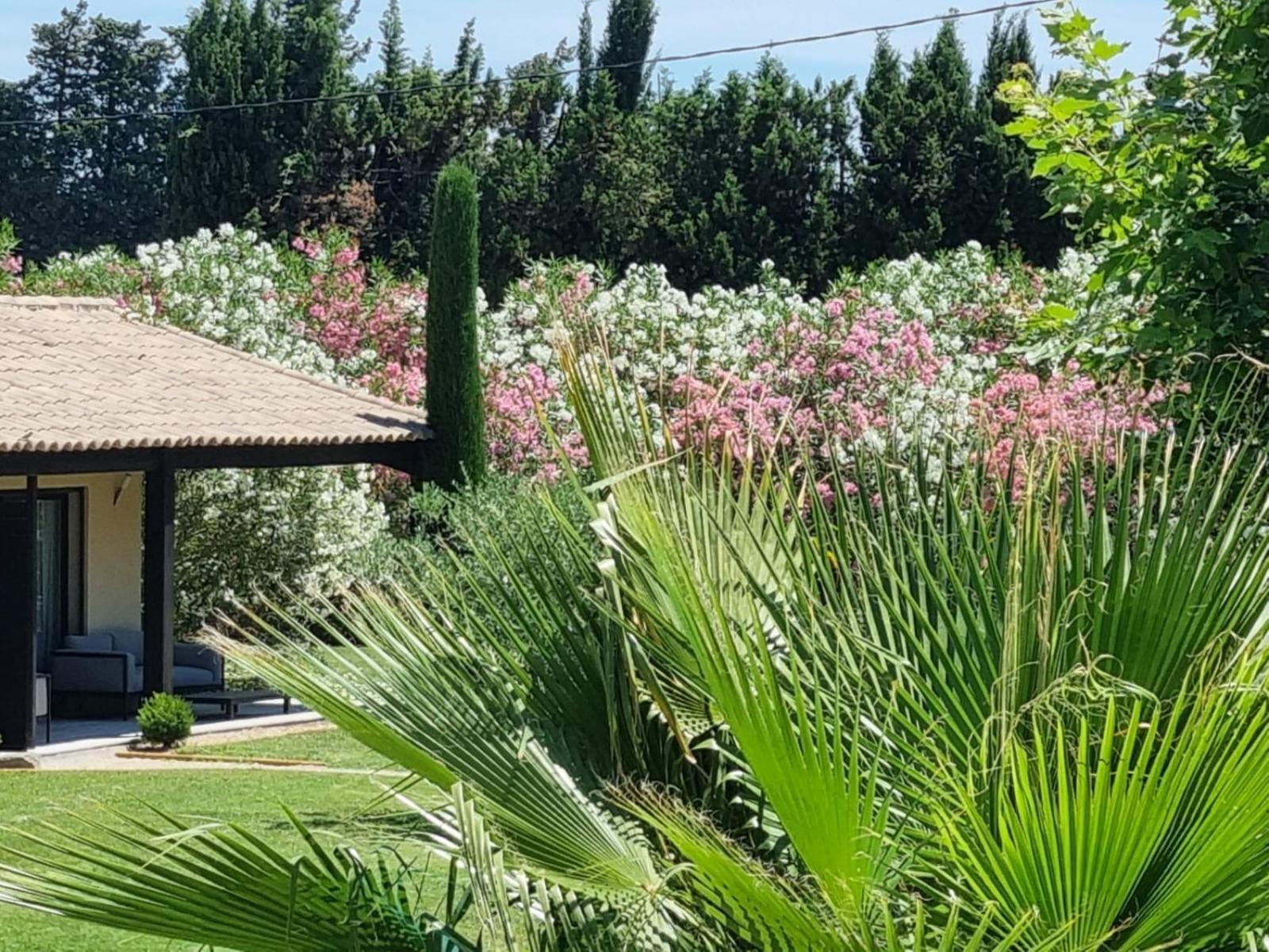 Mas Paloma Bed & Breakfast Rognonas Exterior foto