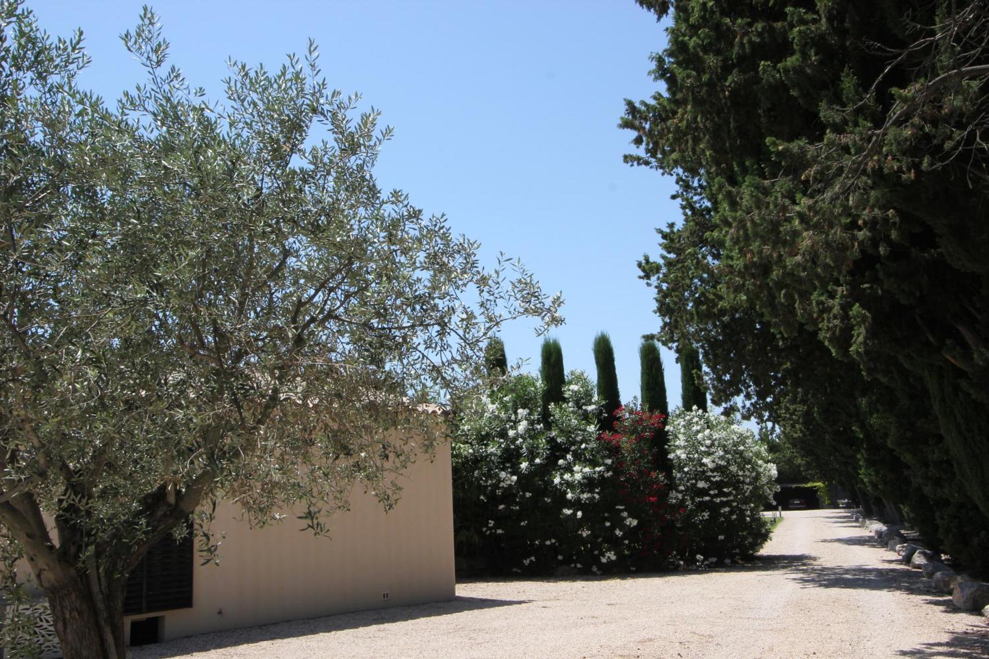 Mas Paloma Bed & Breakfast Rognonas Exterior foto