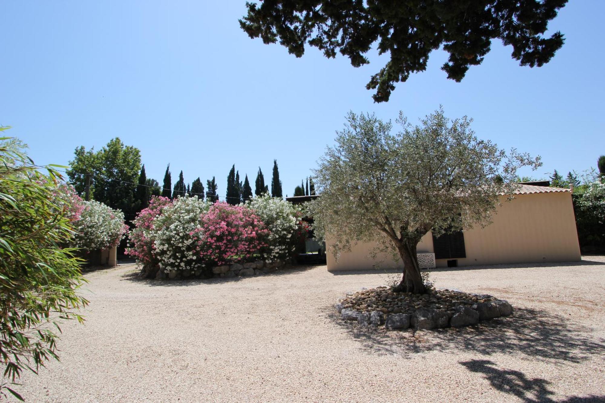 Mas Paloma Bed & Breakfast Rognonas Exterior foto